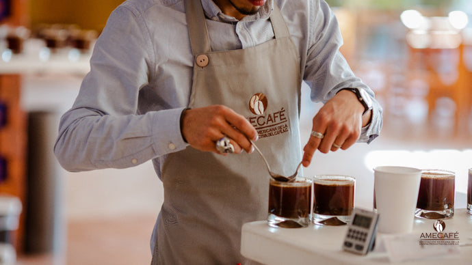 The 10 Best Specialty Coffees in America (2022)