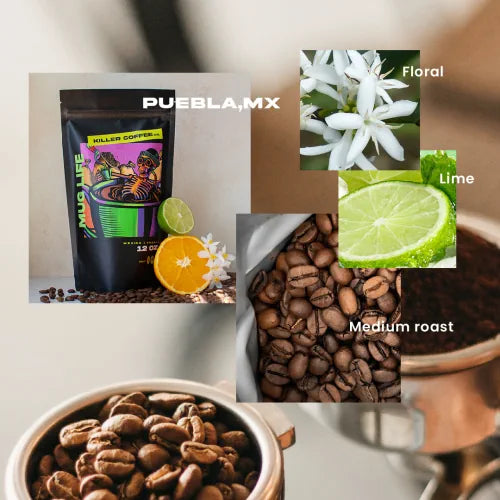 puebla coffee flavor notes