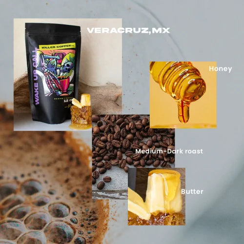 veracruz mexico coffee flavor notes